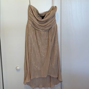 Strapless Gold Express Dress